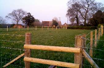 View from Field towards Landford Manor.